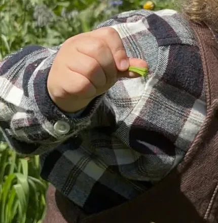 Une chemise à carreaux et une petite main qui tient une feuille verte.