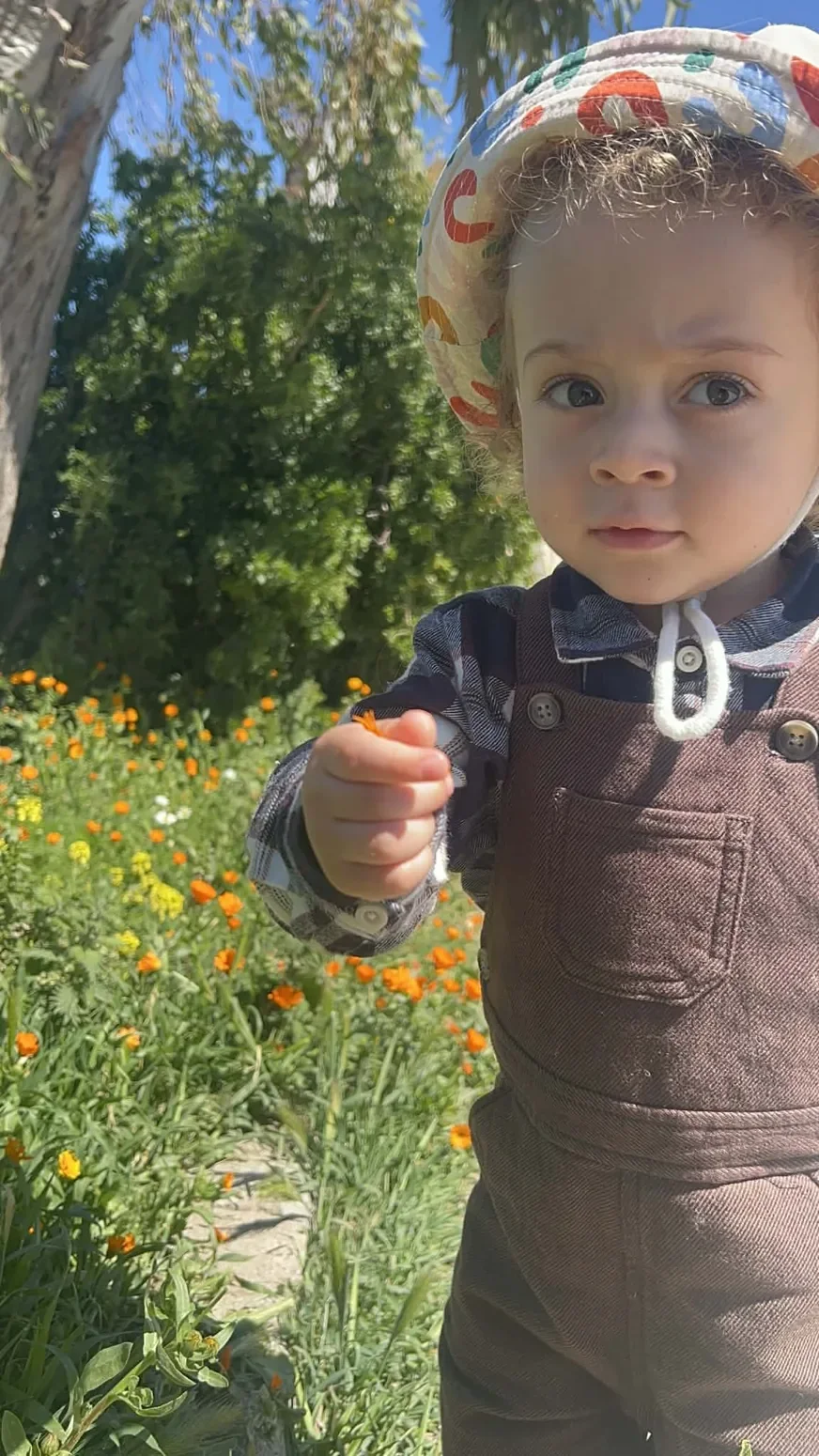 Un jeune enfant au chapeau coloré tient une petite fleur orange dans un jardin.